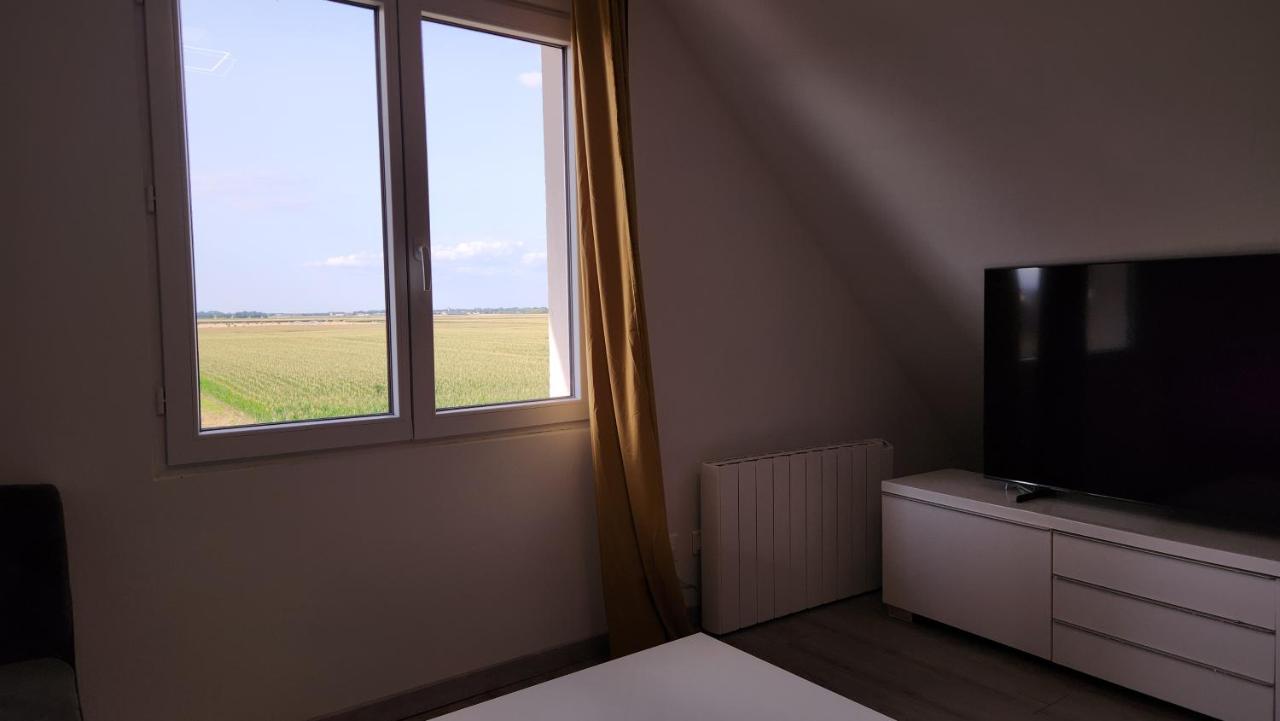 Appartement Vue Panoramique Sur La Plaine D'Alsace Andolsheim Exterior photo