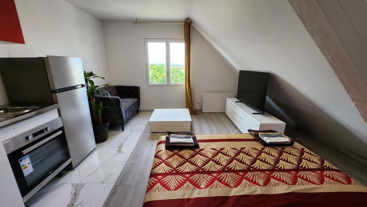 Appartement Vue Panoramique Sur La Plaine D'Alsace Andolsheim Exterior photo